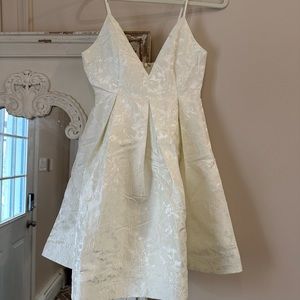 Francesca’s Ivory Reyna Jacquard Flare Mini Dress